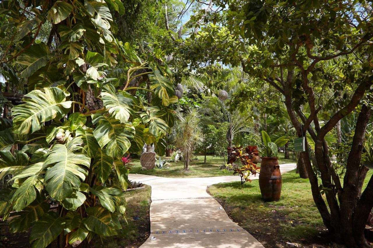 Coco Hacienda Tulum - Adults Only 호텔 외부 사진